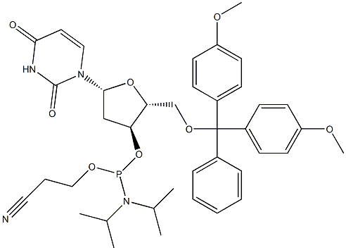 5'-DMT-dU فسفورامیدیت